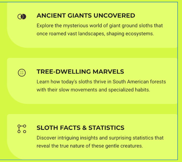 Screenshot of the Sloth Facts section as OpenAI has generated it.