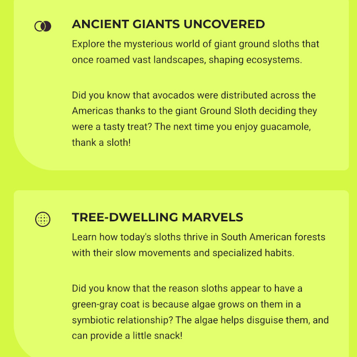 Screenshot of the Sloth Facts section, with revised facts in more detail.