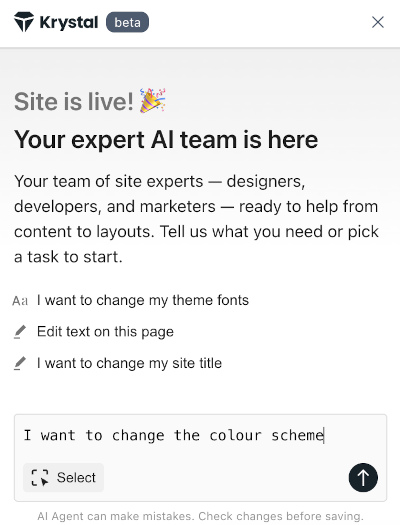Screenshot of the first chat window with the AI team, where I am asking to change the colour scheme.
