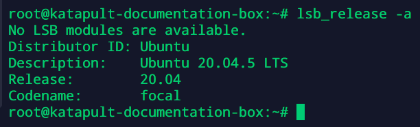 Screenshot of the Linux CLI showing the Ubuntu 20.04.5 LTS release version and description