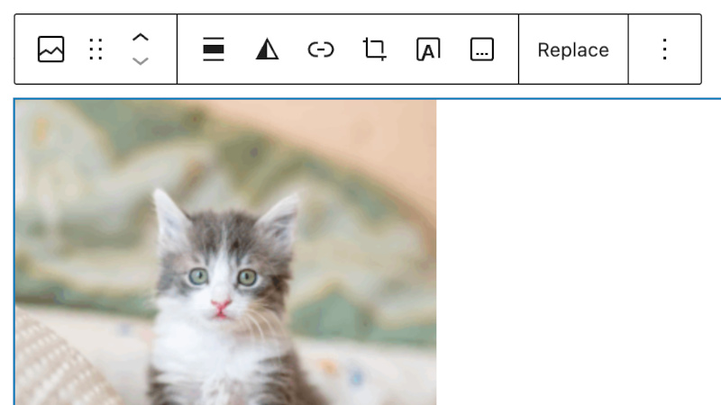 Screenshot of what an image block looks like in WordPress, with an image of a kitten
