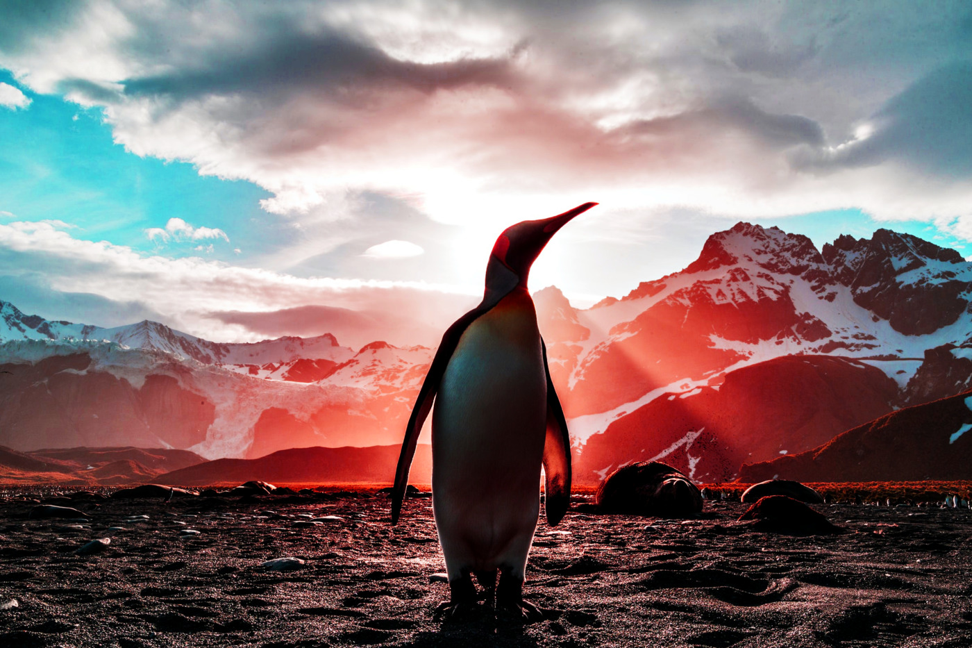 Upgrading Ubuntu 20.04 to 22.04 LTS using the command line