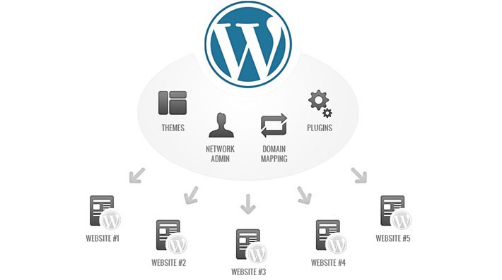 WordPress Multisite network graphic